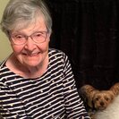 Seeker profile avatar for Seeking Full-time Senior Care Provider In Seattle